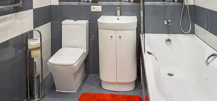 Hansgrohe Shaving Mirror Palo Alto